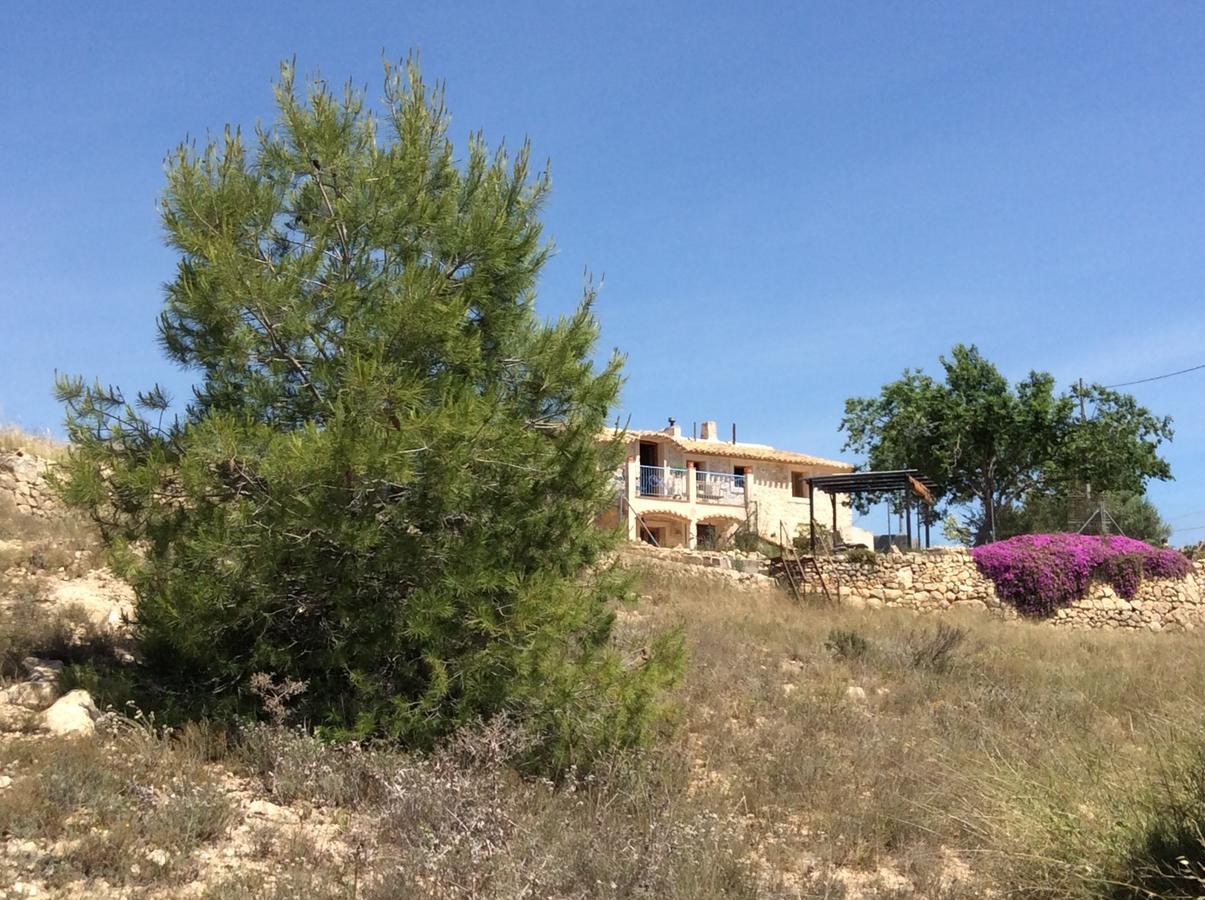Los Cuatro Vientos B&B Torre del Rico Extérieur photo